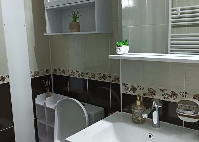 아파트 La Montzi For4 크라이오바